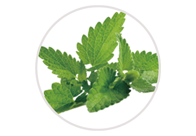 Crema regeneranta pentru fata Cryptherapy, 50 g, Rootree